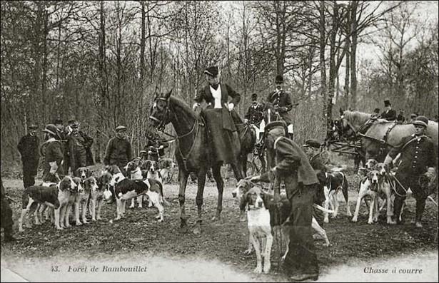 La Chasse et les Chiens