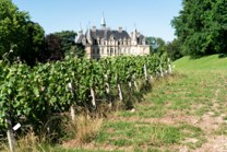 Le Château et la Veuve
