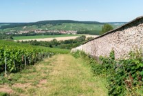 Le Cheval de la Veuve