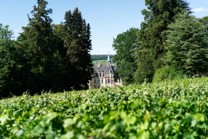 Le Coeur et le château