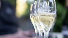 Le chevalier des champagnes