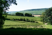 Le domaine enchanté