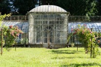 Les précieuses orchidées