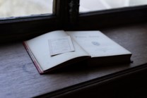 Louis, La Veuve et le Vendéen