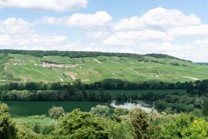 L'ouvrier et la pierre